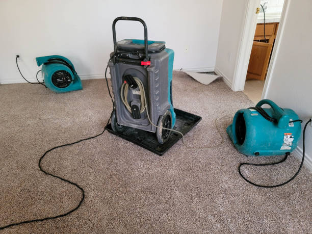 Best Carpet water damage restoration  in Gloucester, MA