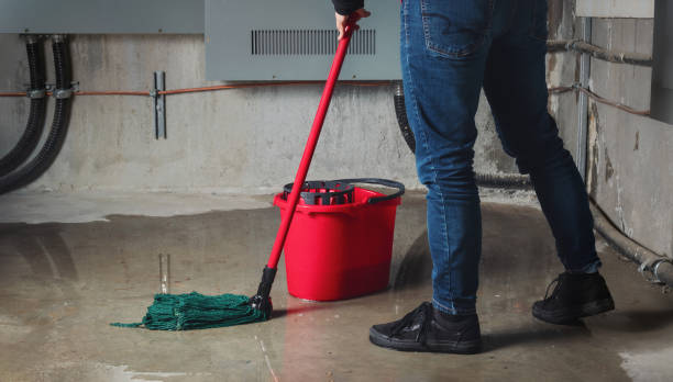 Best Fire Damage Restoration  in Gloucester, MA