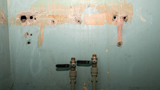 Best Water damage restoration services  in Gloucester, MA