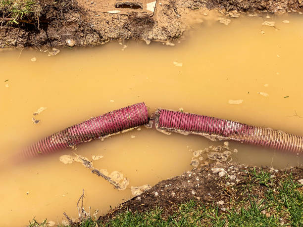 Best Water damage restoration near me  in Gloucester, MA
